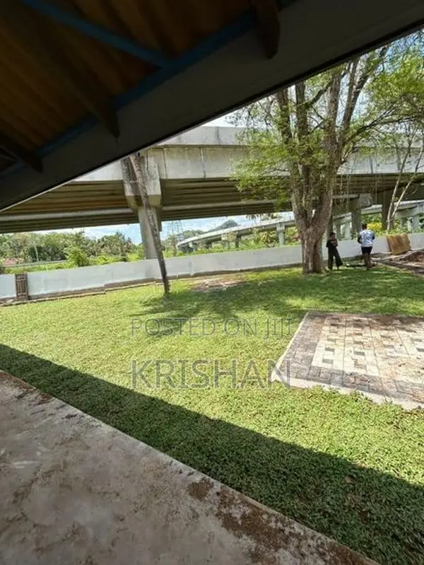 Malaysian Grass Carpet