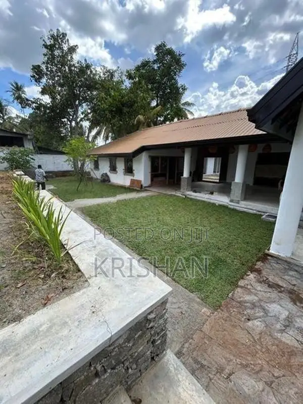 Malaysian Grass Carpet