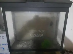 Fish Tank