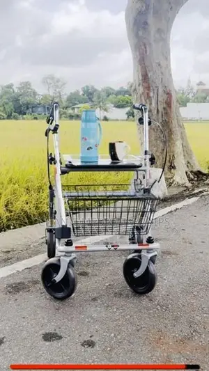 Rollator (Germany) + FREE Walking Stick B&B SENIO Premium