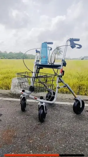 Rollator (Germany) + FREE Walking Stick B&B SENIO Premium