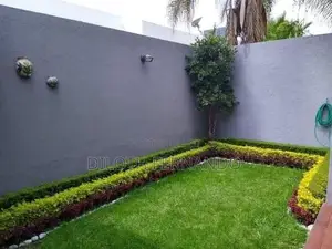 Malaysian Grass Carpet