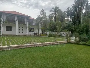Malaysian Grass Carpet