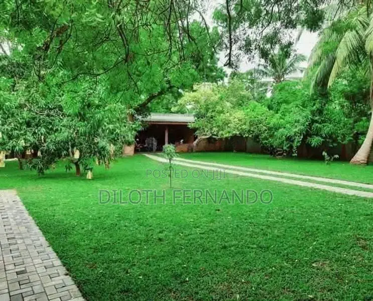 Malaysian Grass Carpet