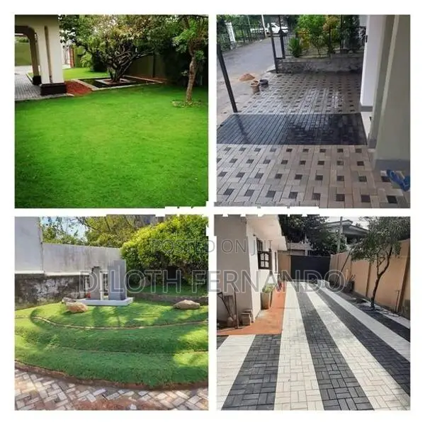 Malaysian Grass Carpet