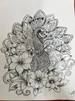 Peacock Mandala Art