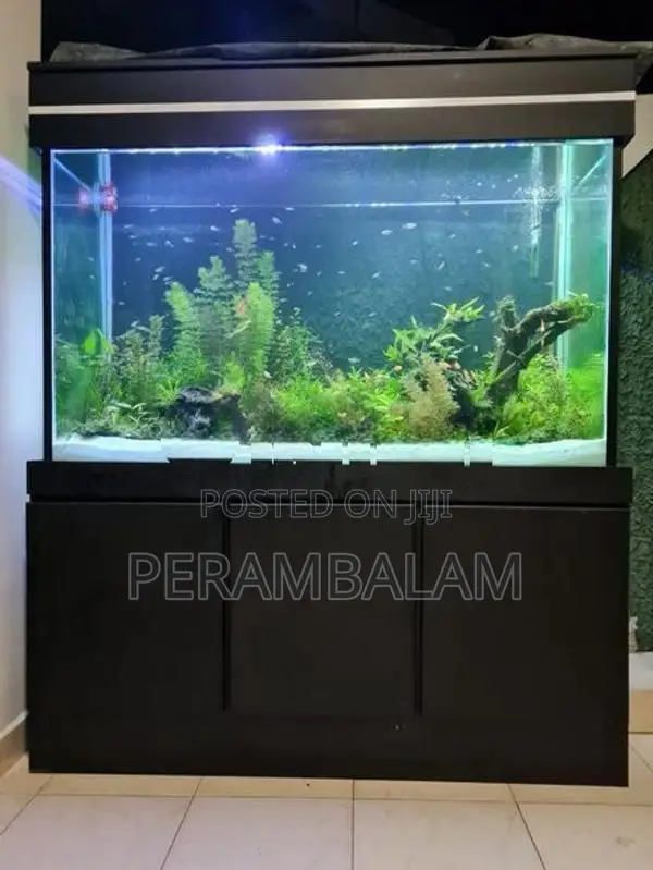 Fish Tank