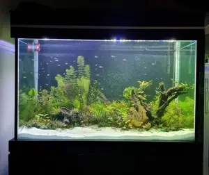 Fish Tank