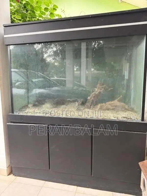 Fish Tank