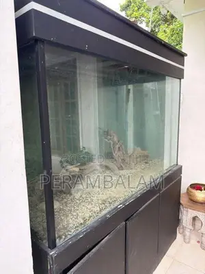Fish Tank