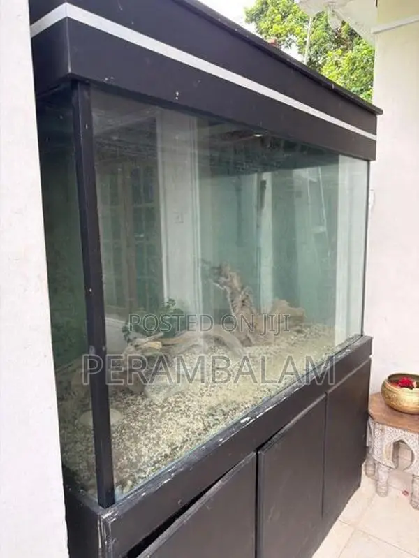 Fish Tank