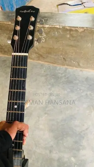 Guitar