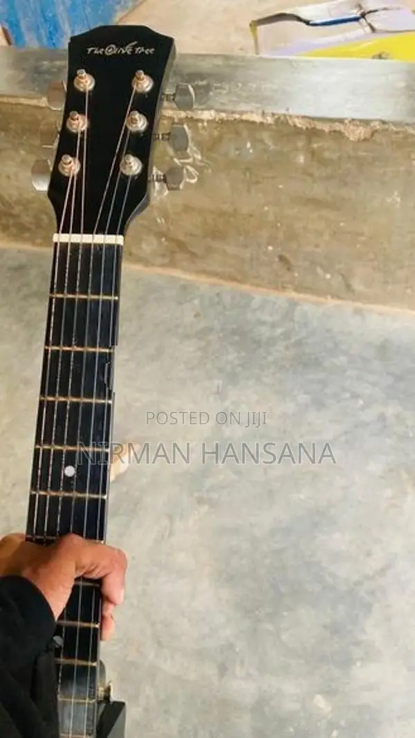 Guitar