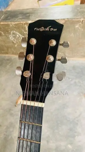 Guitar