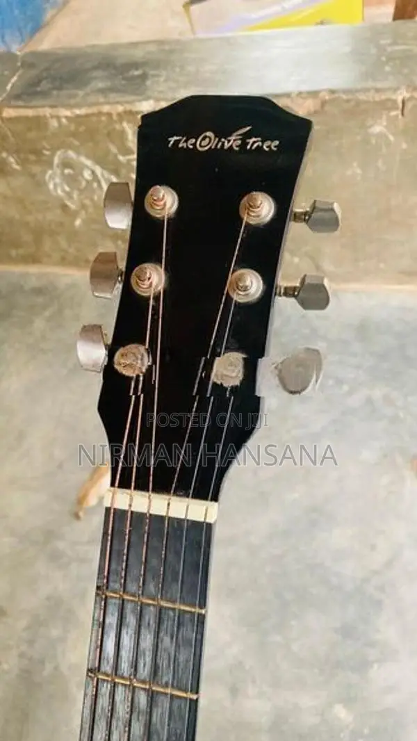 Guitar