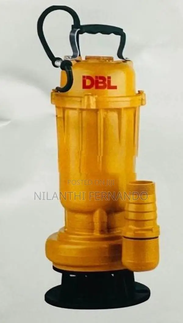 Water Pumping Motor (Submersible)