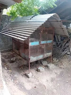 Kolikkoodu