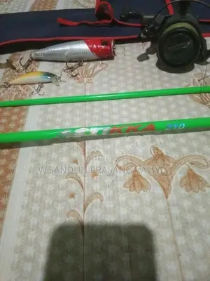 Fishing Rod