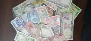 Old Notes