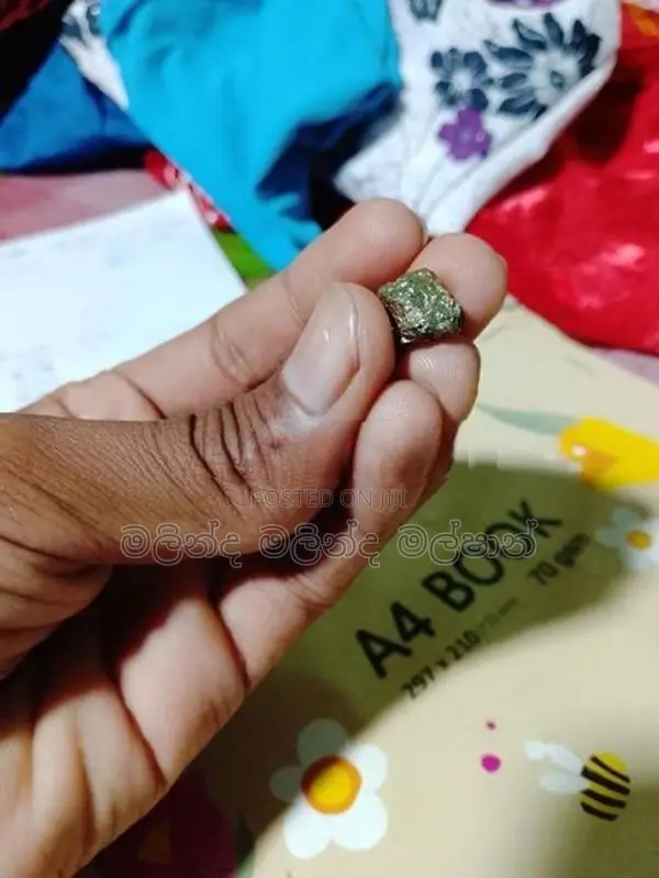 දිය රත්තරන්