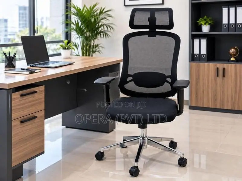 Ergonomic Office Chair