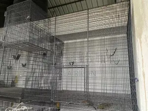 Bird Cages