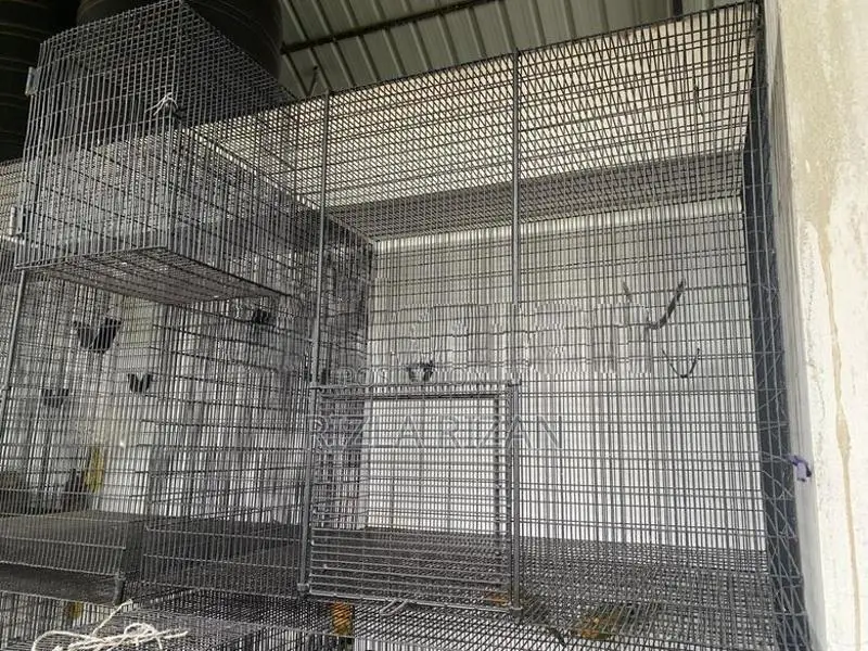 Bird Cages