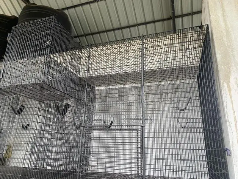 Bird Cages