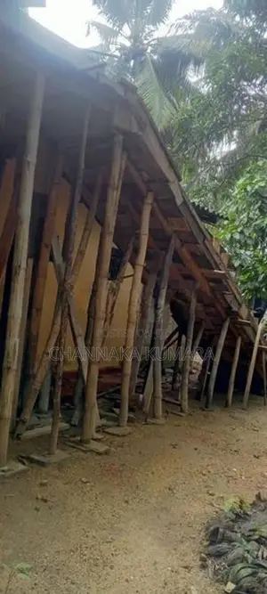 සැටලිම් ලී විකිනිමට