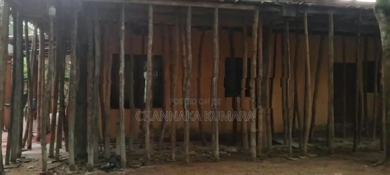 සැටලිම් ලී විකිනිමට