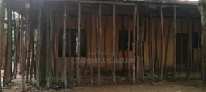 සැටලිම් ලී විකිනිමට