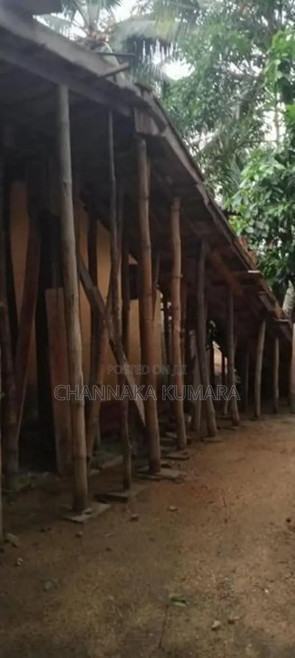 සැටලිම් ලී විකිනිමට