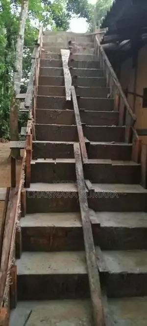 සැටලිම් ලී විකිනිමට