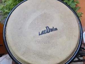 Conga With Bongo Drums