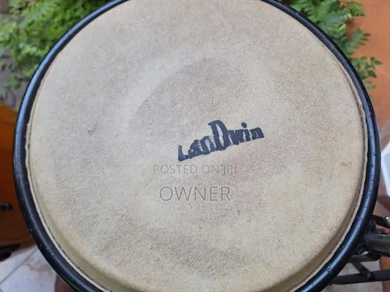 Landwin Brand Conga Set