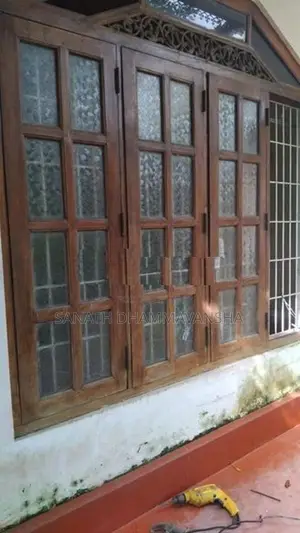 Doors with Windows