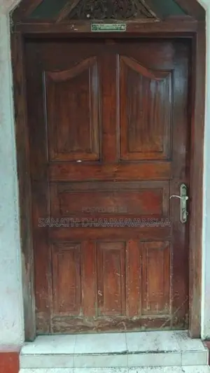 Doors with Windows