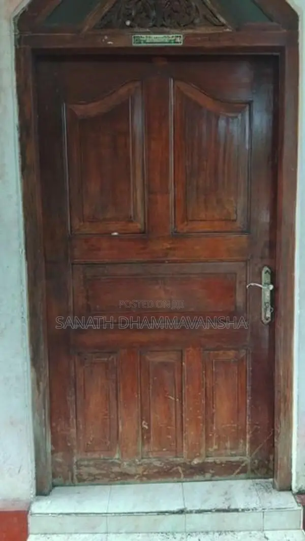 Doors with Windows
