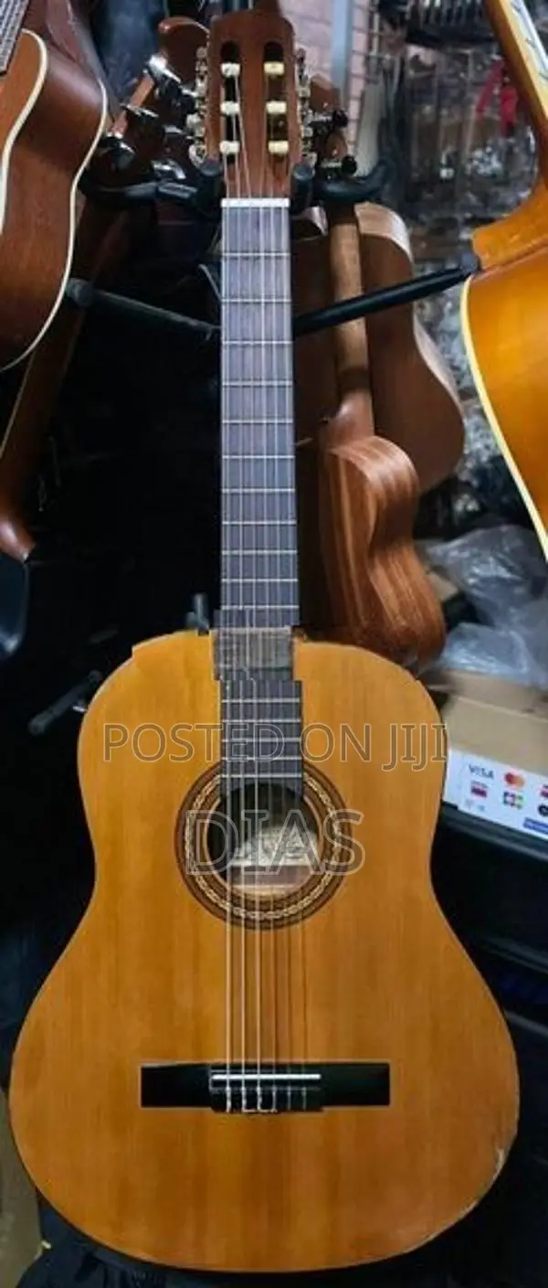Motion TC902E Guitar