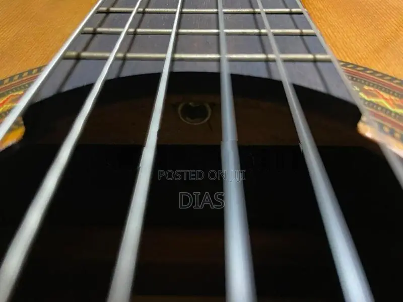 Motion TC902E Guitar