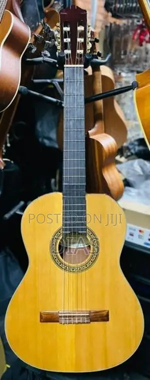 Toyama Japan Guitar