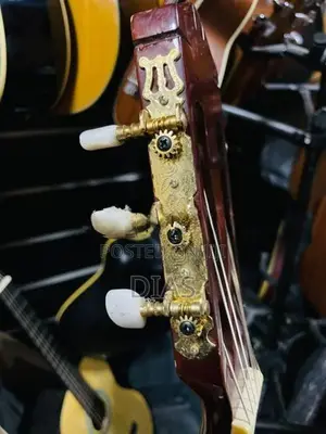 Toyama Japan Guitar