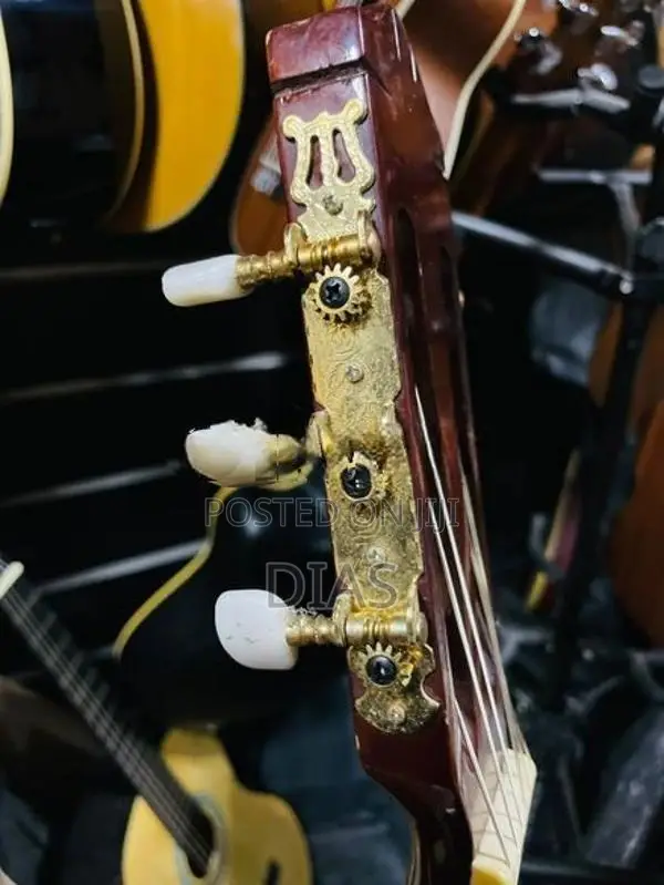Toyama Japan Guitar