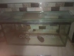 3 Ft Fish Tank
