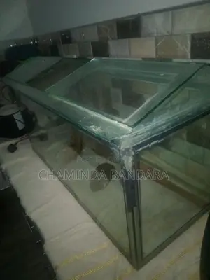 3 Ft Fish Tank