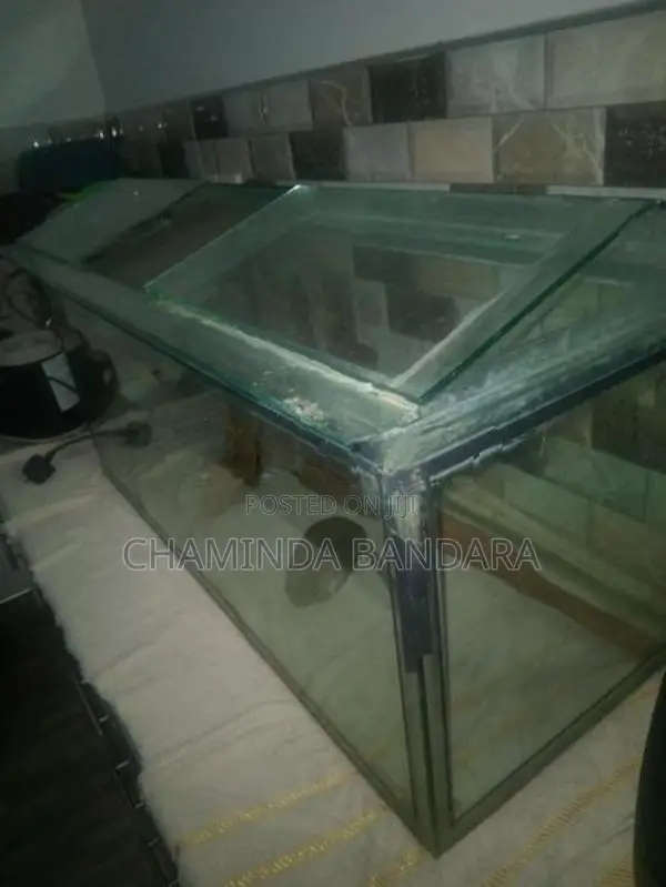 3 Ft Fish Tank