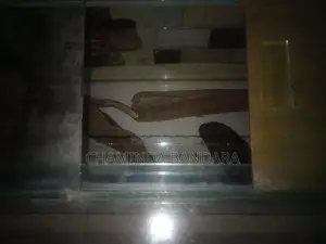 3 Ft Fish Tank