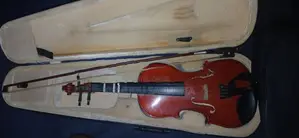 Violin