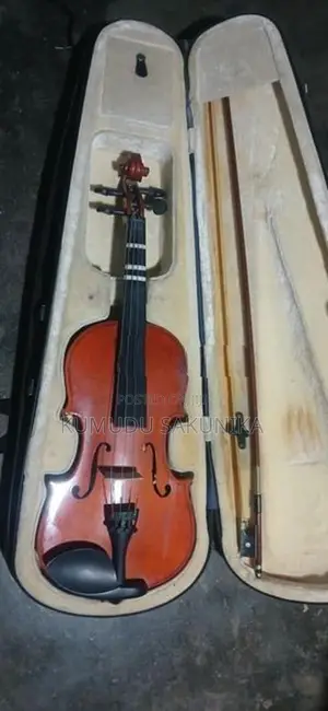 Violin