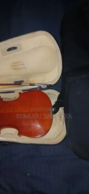 Violin